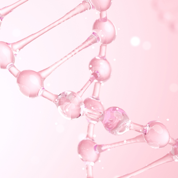 Collagène hydrolysé