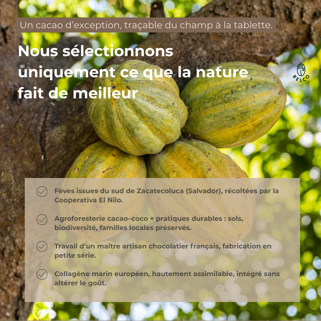 Obsidian Collagen – Chocolat Beauté